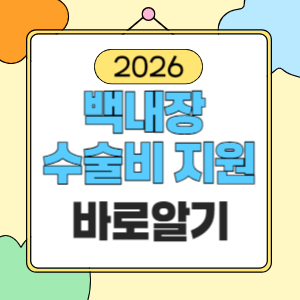백내장 수술비 지원